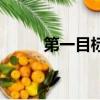 第一目标（关于第一目标的简介）