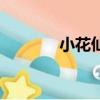 小花仙（关于小花仙的简介）