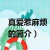 真爱惹麻烦 电视剧（关于真爱惹麻烦 电视剧的简介）