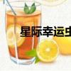 星际幸运虫（关于星际幸运虫的简介）