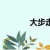 大步走（关于大步走的简介）