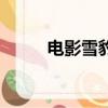 电影雪豹（关于电影雪豹的简介）