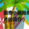 佩奇小猪佩奇动画片（关于佩奇小猪佩奇动画片的简介）