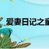 爱妻日记之童心（关于爱妻日记之童心的简介）