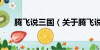 腾飞说三国(关于腾飞说三国的简介)
