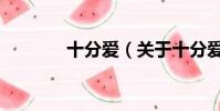 十分爱(关于十分爱的简介)