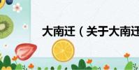 大南迁(关于大南迁的简介)