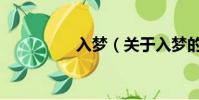 入梦(关于入梦的简介)