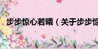 步步惊心若曦(关于步步惊心若曦的简介)