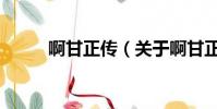 啊甘正传(关于啊甘正传的简介)