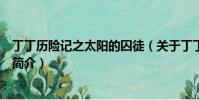 丁丁历险记之太阳的囚徒(关于丁丁历险记之太阳的囚徒的简介)