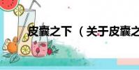 皮囊之下 (关于皮囊之下 的简介)