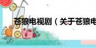 苍狼电视剧(关于苍狼电视剧的简介)