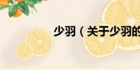 少羽(关于少羽的简介)