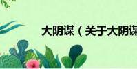 大阴谋(关于大阴谋的简介)