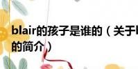 blair的孩子是谁的(关于blair的孩子是谁的的简介)