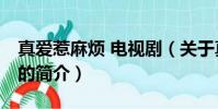 真爱惹麻烦 电视剧(关于真爱惹麻烦 电视剧的简介)