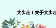 大步走(关于大步走的简介)