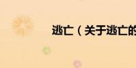 逃亡(关于逃亡的简介)