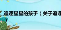 追逐星星的孩子(关于追逐星星的孩子的简介)