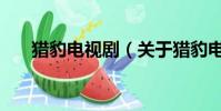 猎豹电视剧(关于猎豹电视剧的简介)