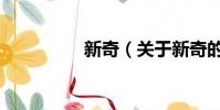 新奇(关于新奇的简介)