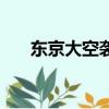 东京大空袭（关于东京大空袭的简介）