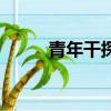 青年干探（关于青年干探的简介）