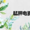 艋胛电影（关于艋胛电影的简介）