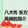 八犬传 东方八犬异闻（关于八犬传 东方八犬异闻的简介）