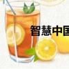 智慧中国（关于智慧中国的简介）