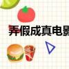 弄假成真电影（关于弄假成真电影的简介）