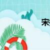 宋扬（关于宋扬介绍）