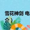 雪花神剑 电视剧（关于雪花神剑 电视剧的简介）