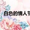 白色的情人节（关于白色的情人节的简介）