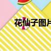 花仙子图片（关于花仙子图片的简介）