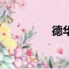 德华（关于德华的简介）