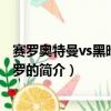 赛罗奥特曼vs黑暗护甲赛罗（关于赛罗奥特曼vs黑暗护甲赛罗的简介）