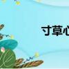 寸草心（关于寸草心的简介）