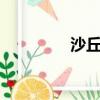 沙丘 （关于沙丘 的简介）