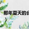 那年夏天的台风（关于那年夏天的台风的简介）
