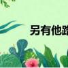 另有他路（关于另有他路的简介）