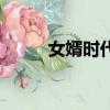女婿时代（关于女婿时代的简介）
