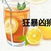 狂暴凶狮（关于狂暴凶狮的简介）