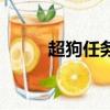 超狗任务（关于超狗任务的简介）