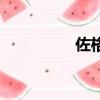 佐格（关于佐格的简介）