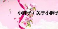 小胖子(关于小胖子的简介)