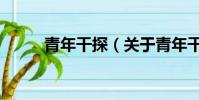 青年干探(关于青年干探的简介)