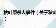 秋叶原杀人事件(关于秋叶原杀人事件的简介)