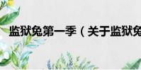 监狱兔第一季(关于监狱兔第一季的简介)